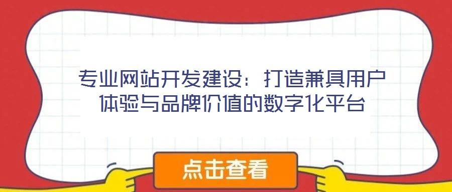 专业网站开发建设:打造兼具用户体验与品牌价值的数字化平台