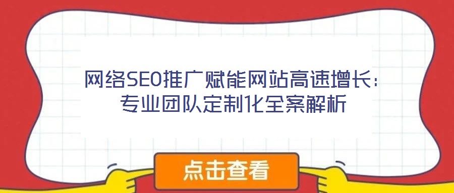 网络SEO推广赋能网站高速增长:专业团队定制化全案解析