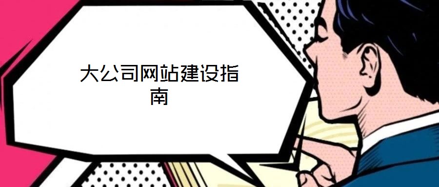 大公司网站建设指南