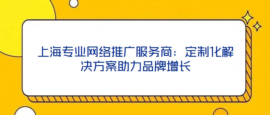 上海专业网络推广服务商:定制化解决方案助力品牌增长