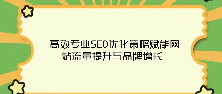 高效专业SEO优化策略赋能网站流量提升与品牌增长