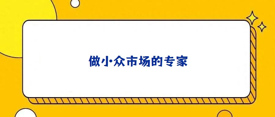 做小众市场的专家