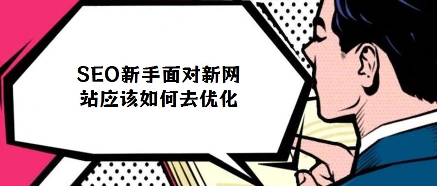 SEO新手面对新网站应该如何去优化